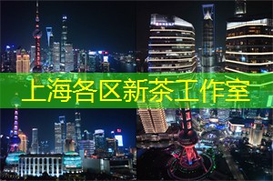 上海品茶网：南京路上的夜间购物体验